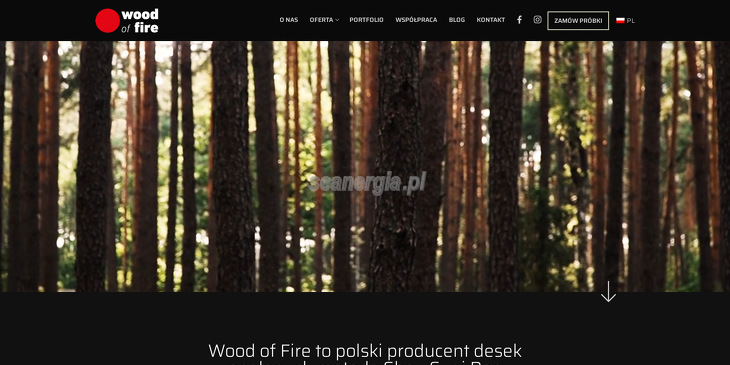 wood-of-fire-dawid-pich-adam-schirmeisen-spolka-cywilna
